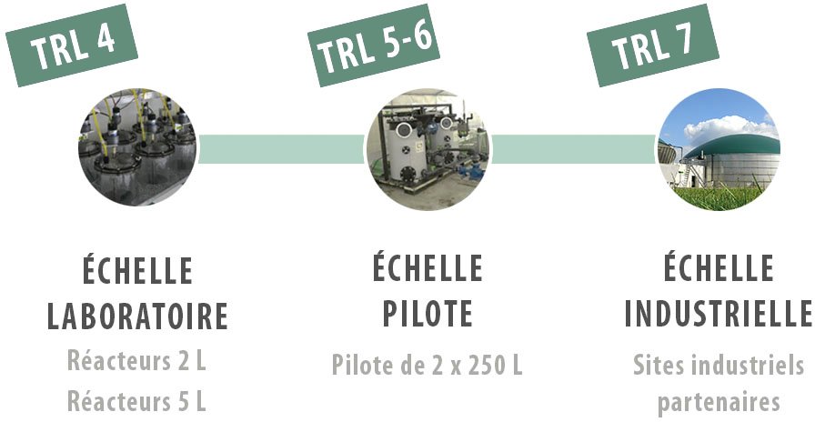 Infographie-PLATEFORME-copie